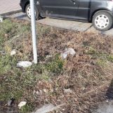 Jarné upratovanie 2019 - skrášlili sme si okolie školy 