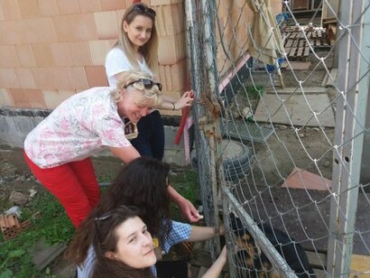Krúžok Ži zdravo sa stará aj o opustených psíkov