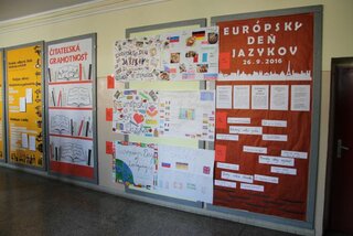 IMG_7905