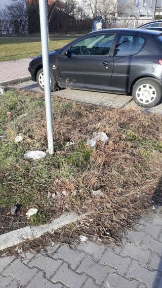 pred - neporiadok