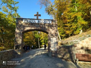 IMG_20221018_084347