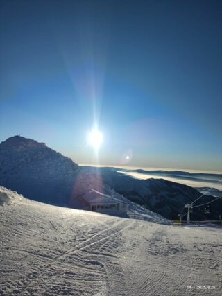 IMG-20250318-WA0020