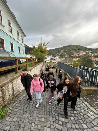 IMG_2583