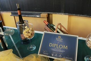 IMG_0509