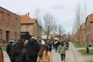 IMG_6452