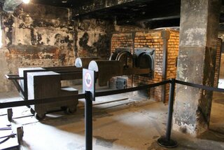 IMG_6465