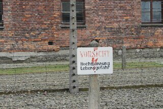 IMG_6471
