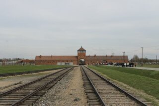 IMG_6473
