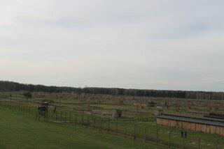 IMG_6486