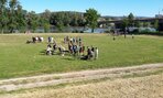 20170608_084502