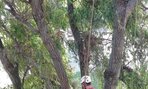 IMG_20180827_100402