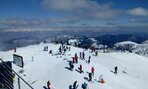 IMG_20190320_115012950