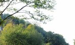 IMG_6114