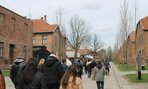 IMG_6452