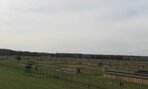 IMG_6486