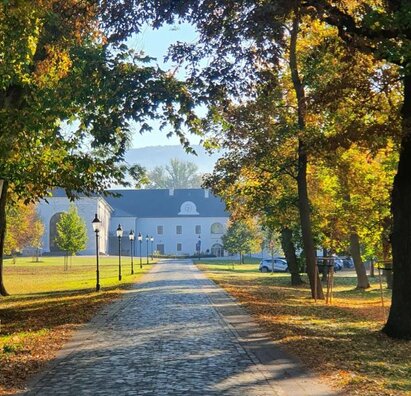 Prváci  navštívili knižnicu v Chateau Appony - október 2022