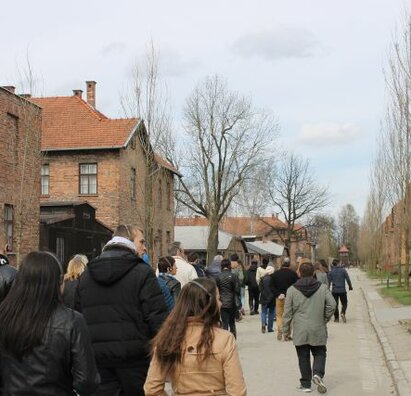 Osvienčim 15
