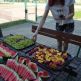 Picnic day 2019 - DSC_0258