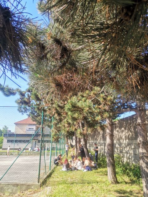 Picnic day 1. 6. 2023